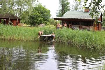 Фото номера Дом с 2 спальнями Дома для отпуска Брестская усадьба «Заезд Зубачи» г. Зубачи 114