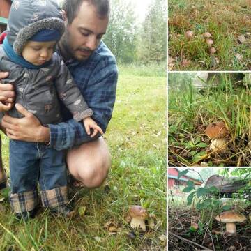 Фото номера Дом с 2 спальнями Дома для отпуска Брестская усадьба «Заезд Зубачи» г. Зубачи 165